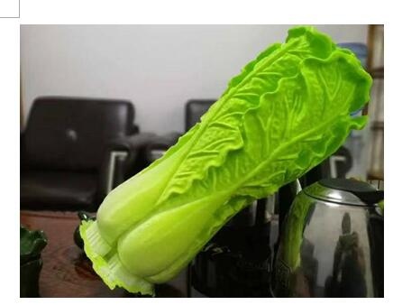 斜放3d打印模型