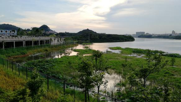 立新湖攀 立新湖攀