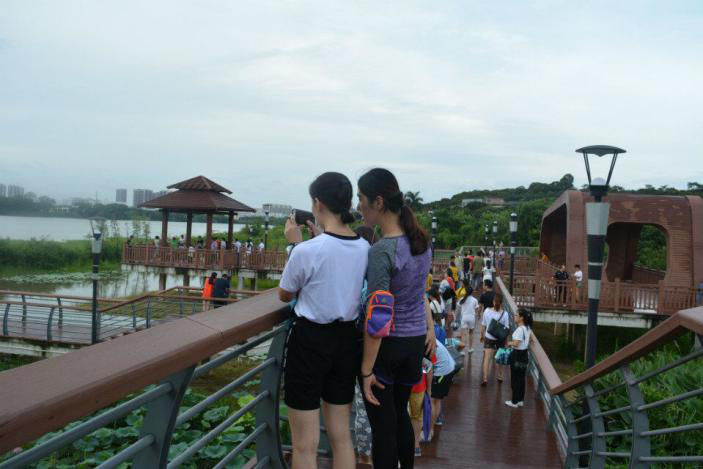 一起在看风景 一起在看风景