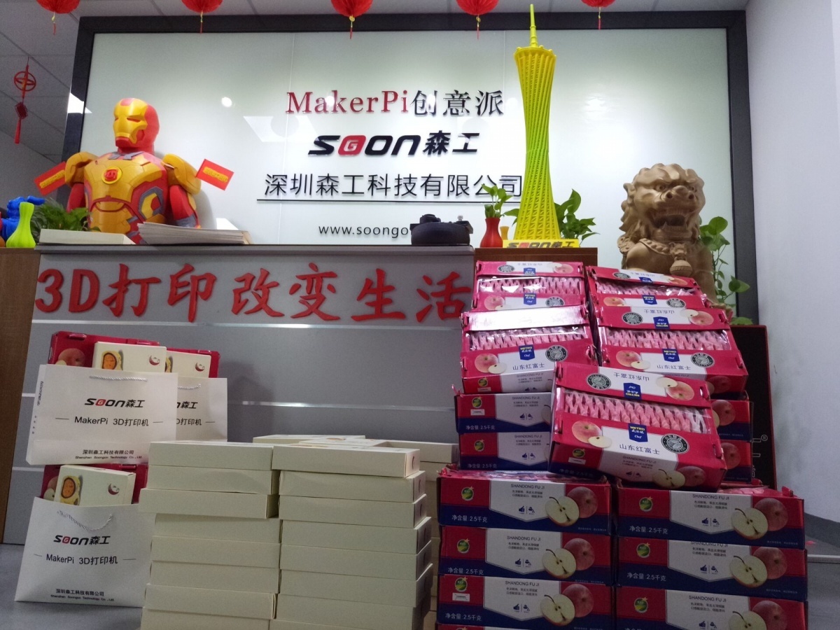 森工3d打印机厂家