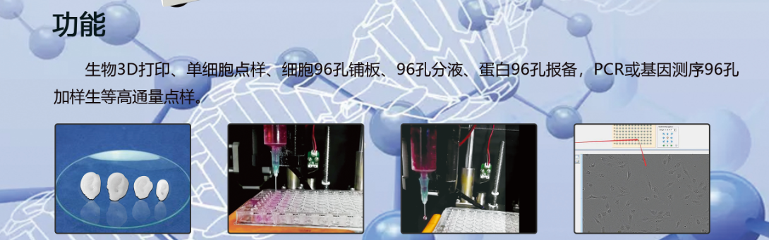 生物3d打印模型